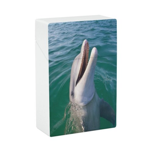yanfind Cigarette Case Cheerful Outdoors Wildlife Nosed Egypt Bay Bottle Travel East Wild Islands Hard Plastic Crushproof Cigarette Case