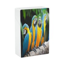 yanfind Cigarette Case Tree Place Aviary Beauty River Wilderness Bird Famous Macaw Focus Tropical Sunset Hard Plastic Crushproof Cigarette Case