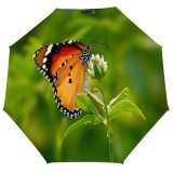 yanfind Umbrella Manual Pakistan Leaf Stem Beauty Focus Butterfly Punjab Lahore Wildlife Outdoors Plant Flower Windproof waterproof anti-ultraviolet protection golf umbrella