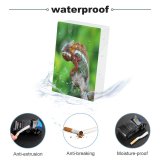 yanfind Cigarette Case Space Beauty Defocused Alertness Wild Side Portrait Wildlife Outdoors Reptile Branch Plant Hard Plastic Crushproof Cigarette Case