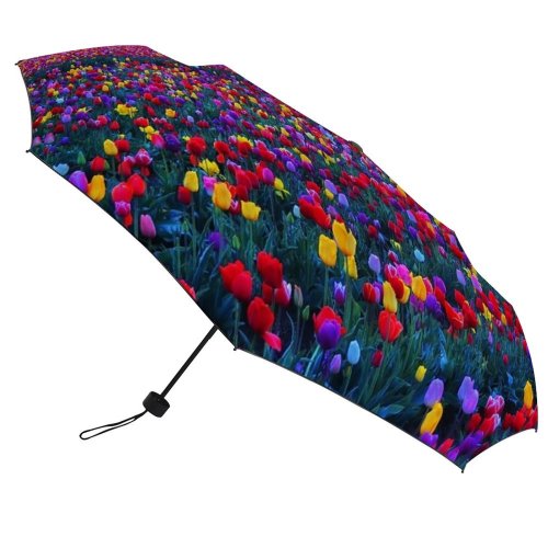 yanfind Umbrella Manual Growth Rural Dramatic Beauty Tulip Farm Sky Oregon Scenery Landscape Scene Cloud Windproof waterproof anti-ultraviolet protection golf umbrella