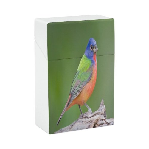 yanfind Cigarette Case Bunting Town Vibrant Wildlife Hard Plastic Crushproof Cigarette Case
