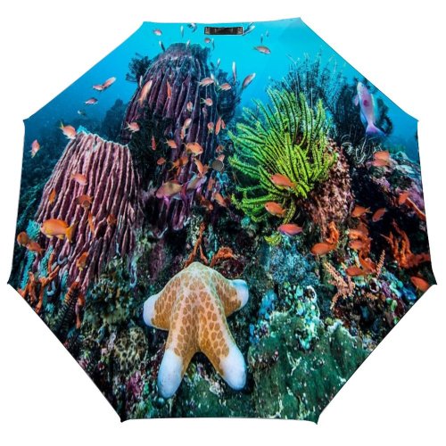 yanfind Umbrella Manual Organism Southeast Ecosystem Pacific Coral Ocean Fish Cnidarian Aquatic Beauty Sea Windproof waterproof anti-ultraviolet protection golf umbrella