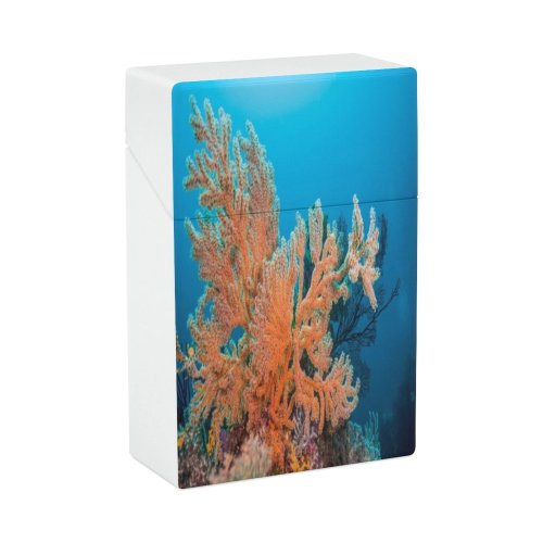 yanfind Cigarette Case Cnidarian Wildlife Ecosystem Region Diving Undersea Natural Seascape Sea Owase Travel Hard Plastic Crushproof Cigarette Case