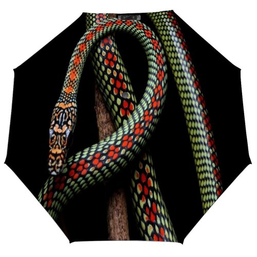 yanfind Umbrella Manual Southeast Zoology Wildlife Lumpur Shot Malaysia Kuala Studio Snake Design Windproof waterproof anti-ultraviolet protection golf umbrella