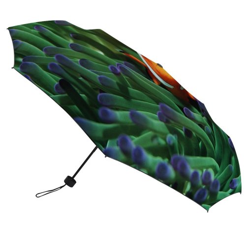yanfind Umbrella Manual FALSE Sheltering Fish Coral Undersea Anemone Relationship Sea Underwater Wild Tropical Clown Windproof waterproof anti-ultraviolet protection golf umbrella