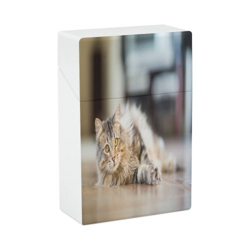 yanfind Cigarette Case Cheerful Emotion Tired Coon Focus Camera USA Cat California Maine Contented Portrait Hard Plastic Crushproof Cigarette Case
