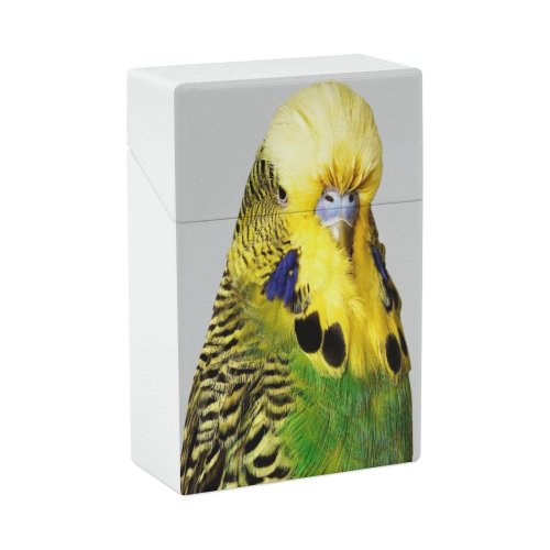 yanfind Cigarette Case Studio Budgerigar Camera Cute Feather Shot UK Beak Individuality Hard Plastic Crushproof Cigarette Case