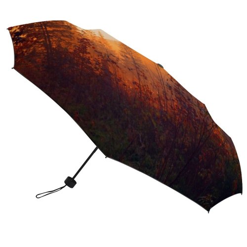 yanfind Umbrella Manual Sky Natural Morning National Tatra Rural Scene Park Zakopane Awe Plant Scenics Windproof waterproof anti-ultraviolet protection golf umbrella