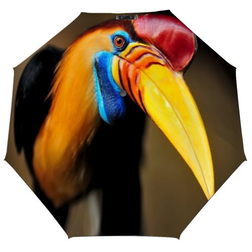 yanfind Umbrella Manual Space Hornbill Wrinkled Beauty Exoticism Rhyticeros Feather Bird Rainforest Tropical Portrait Windproof waterproof anti-ultraviolet protection golf umbrella