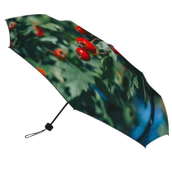 yanfind Umbrella Manual Hawthorn Growth Hedge Leaf England Herb Bush Bunch Wellbeing Focus Biology Windproof waterproof anti-ultraviolet protection golf umbrella
