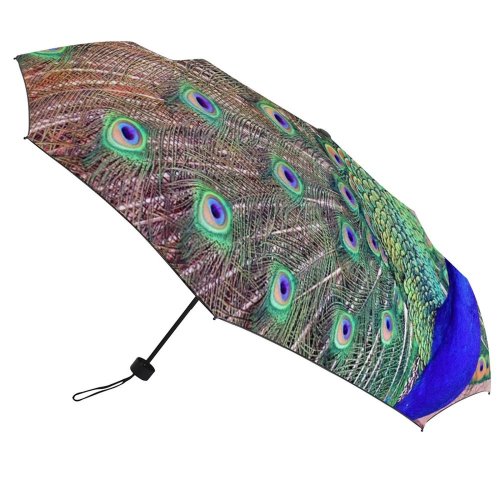 yanfind Umbrella Manual Pride Beauty England Feather Bird Fanned Vibrant London Exhibition Wildlife Summer Windproof waterproof anti-ultraviolet protection golf umbrella