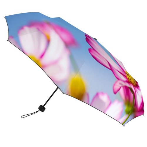 yanfind Umbrella Manual Osaka Beauty Suita Sky Cosmos Prefecture Japan Plant Flower Windproof waterproof anti-ultraviolet protection golf umbrella
