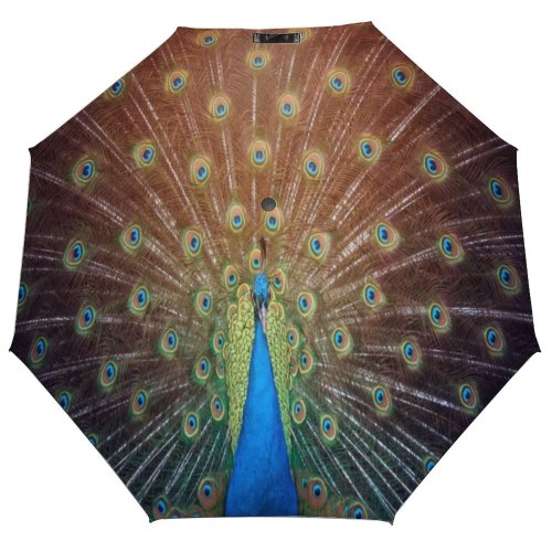 yanfind Umbrella Manual Dundee Turquoise Scotland Feather Bird Focus Portrait Showing UK Selective Windproof waterproof anti-ultraviolet protection golf umbrella