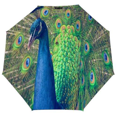 yanfind Umbrella Manual Bird Portrait UK Windproof waterproof anti-ultraviolet protection golf umbrella