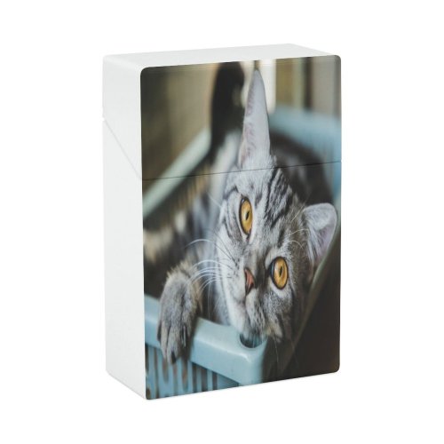 yanfind Cigarette Case Cheerful Fun Happiness Lifestyles Love Emotion Sleeping Comfortable Tired Young Shorthair Resting Hard Plastic Crushproof Cigarette Case