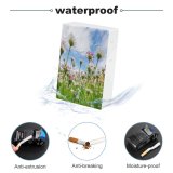 yanfind Cigarette Case Non Tranquility Growth Rural Living Beauty Scenics Springtime Agricultural Daisy Natural Hard Plastic Crushproof Cigarette Case