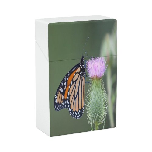 yanfind Cigarette Case Wing Botany Agricultural Side Wild Focus Field Butterfly Monarch Invertebrate Wildlife Summer Hard Plastic Crushproof Cigarette Case