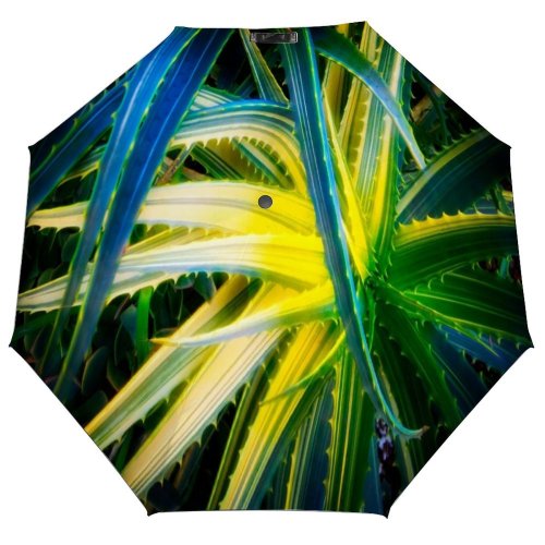 yanfind Umbrella Manual Space Glowing Twisted Growth Botany Leaf Beauty Awe Springtime Chaos Cactus California Windproof waterproof anti-ultraviolet protection golf umbrella
