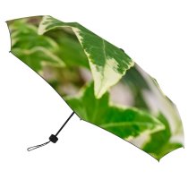 yanfind Umbrella Manual Idyllic Evergreen Botany Leaf Beauty England Fragility Climbing Natural Shiny Complexity Purity Windproof waterproof anti-ultraviolet protection golf umbrella