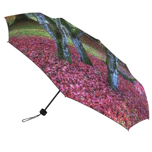 yanfind Umbrella Manual Non Growth Rural Tree Leaf Beauty Scenics Autumn Scotland Urban Scenery Windproof waterproof anti-ultraviolet protection golf umbrella