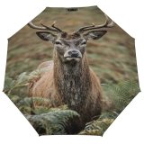yanfind Umbrella Manual Strength Stag Variegated Beauty Dark England Agricultural Deer Family Natural Windproof waterproof anti-ultraviolet protection golf umbrella