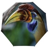 yanfind Umbrella Manual Hornbill York Bird Wild Beak City Wildlife Outdoors USA State Windproof waterproof anti-ultraviolet protection golf umbrella