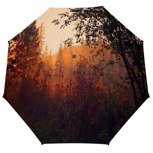 yanfind Umbrella Manual Sky Natural Morning National Tatra Rural Scene Park Zakopane Awe Plant Scenics Windproof waterproof anti-ultraviolet protection golf umbrella