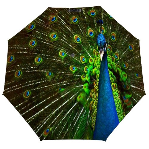 yanfind Umbrella Manual Living Beauty Aerial Exoticism Jakarta Feather Bird Tropical Mating Fanned Organism Windproof waterproof anti-ultraviolet protection golf umbrella
