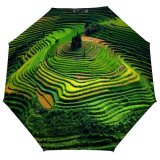 yanfind Umbrella Manual Agriculture Growth Rural Beauty Scenics High Cai Terraced Natural Foliage Field Rice Windproof waterproof anti-ultraviolet protection golf umbrella