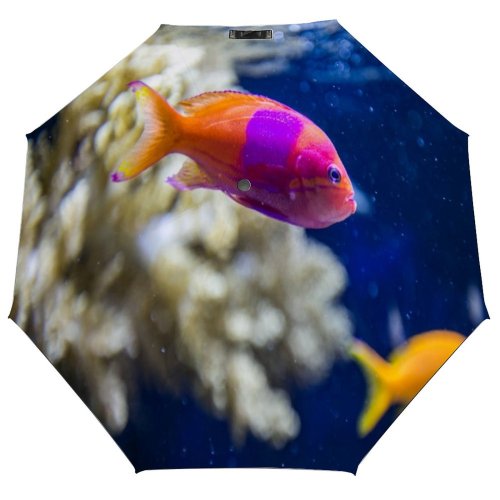 yanfind Umbrella Manual Bizarre Glowing Fish Coral Undersea Living Dark Pacific Sea Underwater Fin Windproof waterproof anti-ultraviolet protection golf umbrella