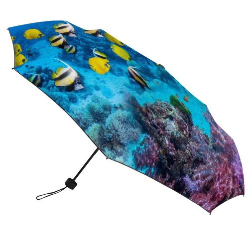 yanfind Umbrella Manual Togetherness Scene Ecosystem Alcyonarian Outdoors Coral Egypt Soft Tranquil Fish Cnidarian Windproof waterproof anti-ultraviolet protection golf umbrella