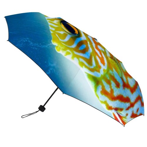 yanfind Umbrella Manual Aquaculture Fish Beauty Sea Underwater Side Focus Wildlife Individuality Foreground Windproof waterproof anti-ultraviolet protection golf umbrella