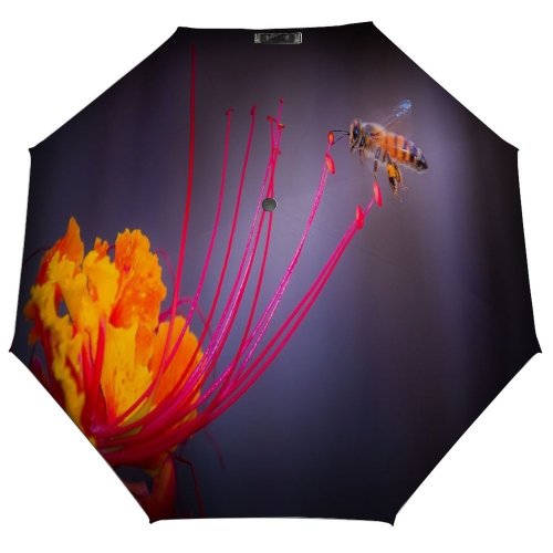 yanfind Umbrella Manual Buzzing Beauty Vegas Bee Pollination Outdoors USA Flower Motion Windproof waterproof anti-ultraviolet protection golf umbrella