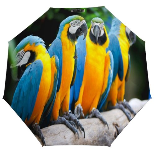 yanfind Umbrella Manual Tree Place Aviary Beauty River Wilderness Bird Famous Macaw Focus Tropical Sunset Windproof waterproof anti-ultraviolet protection golf umbrella