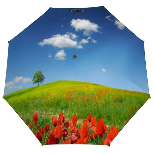 yanfind Umbrella Manual Remembrance Agriculture Peace Denmark Tree Idyllic Rural Beauty Symbols Perennial Poppy Windproof waterproof anti-ultraviolet protection golf umbrella