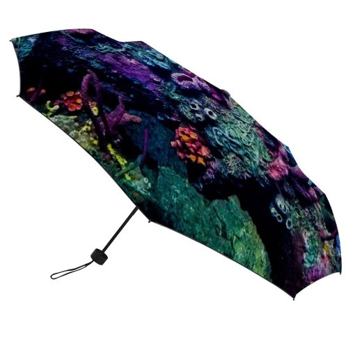 yanfind Umbrella Manual Place Coral Beauty Baltimore Underwater Famous National Destinations Cnidarian Reef Aquarium Landmark Windproof waterproof anti-ultraviolet protection golf umbrella