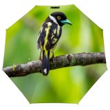 yanfind Umbrella Manual Cute Social Stage Perching Wing Throat Tree Issues Beauty Awe Fragility Wilderness Windproof waterproof anti-ultraviolet protection golf umbrella