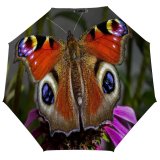 yanfind Umbrella Manual Finland Focus Butterfly Wildlife Outdoors Foreground Insect Windproof waterproof anti-ultraviolet protection golf umbrella