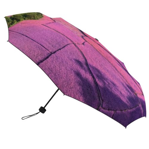 yanfind Umbrella Manual Sky Morning Natural Farm Scene Semi India Dramatic Plant Scenics Sunset Outdoors Windproof waterproof anti-ultraviolet protection golf umbrella
