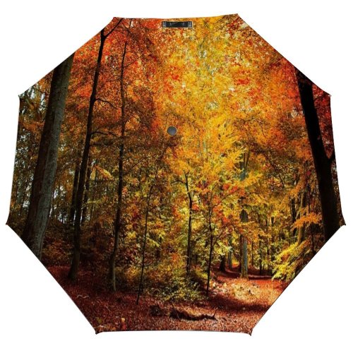 yanfind Umbrella Manual Non Growth Denmark Dark Luxuriant Deciduous Footpath Scandinavia Urban Europe Scene Trunk Windproof waterproof anti-ultraviolet protection golf umbrella