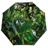 yanfind Umbrella Manual Saturated Garden Ornamental Decorative Beauty Springtime India Rainforest Flowering Tropical Windproof waterproof anti-ultraviolet protection golf umbrella