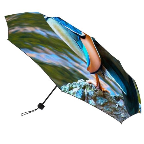 yanfind Umbrella Manual Perching Drake Bird Wild Lakeshore Lake Duck Wildlife Mandarin Outdoors Windproof waterproof anti-ultraviolet protection golf umbrella