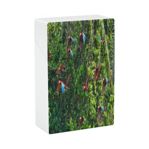 yanfind Cigarette Case Non Tree Amazon Beauty Awe Region Flock Bird Rainforest Foliage Wild Birds Hard Plastic Crushproof Cigarette Case