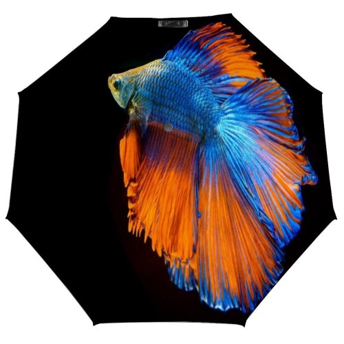 yanfind Umbrella Manual Fish Wing Beauty Sea Damselfish Wildlife Bangkok Aquarium Goldfish Motion Windproof waterproof anti-ultraviolet protection golf umbrella