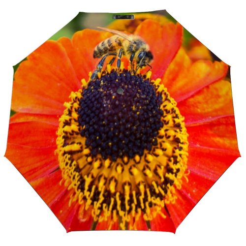 yanfind Umbrella Manual Honey Pollen Botany Beauty Bloom Springtime Bee Autumn Vibrant Petal Sunlight Summer Windproof waterproof anti-ultraviolet protection golf umbrella