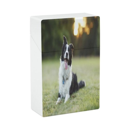 yanfind Cigarette Case Sticking Cheerful Dog Outdoors Focus Camera Curiosity Collie USA Grass California Border Hard Plastic Crushproof Cigarette Case