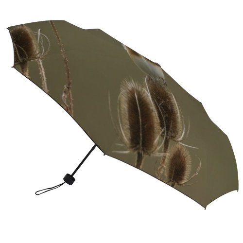 yanfind Umbrella Manual Hertford Cute Teasel Perching Wing Beauty Variegated England Wilderness Springtime Songbird Finch Windproof waterproof anti-ultraviolet protection golf umbrella