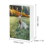 yanfind Cigarette Case Cheerful Dog Outdoors Emotion Love Young Garden Formal Playing Shaggy Cute Flowerbed Hard Plastic Crushproof Cigarette Case
