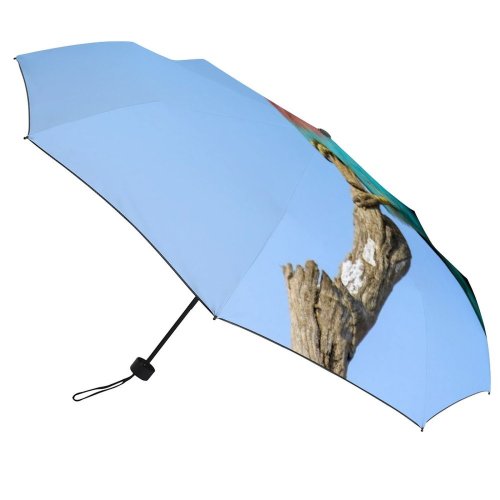 yanfind Umbrella Manual Masai Africa Roller Tree Perching Beauty Awe Scenics Mara Alertness Call Purple Windproof waterproof anti-ultraviolet protection golf umbrella